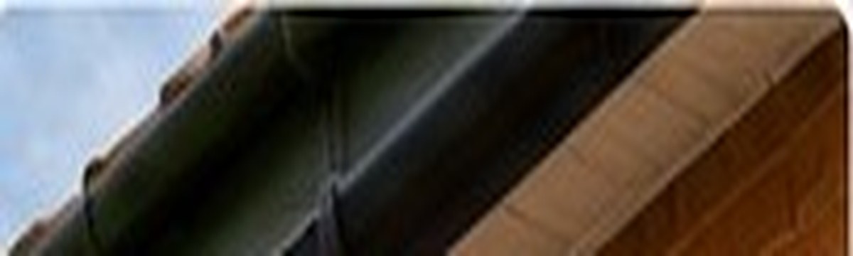 Gutter Cleaning